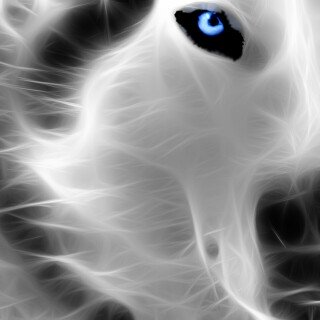 Wolf_1_0125