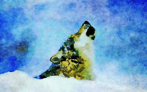 Wolf_1_0592.jpg
