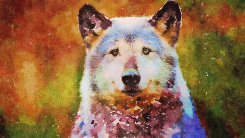 Wolf_1_0628.jpg