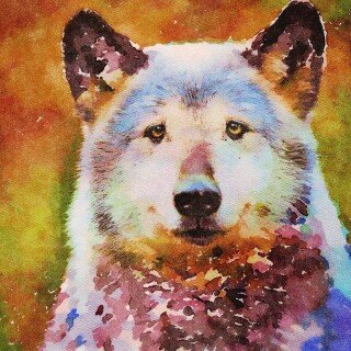 Wolf_1_0628