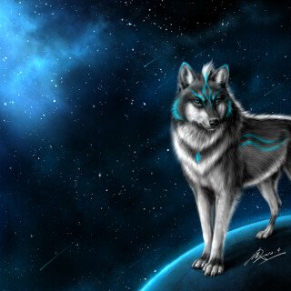 Wolf_1_0852
