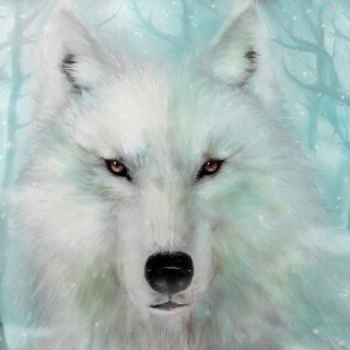 Wolf_1_1056