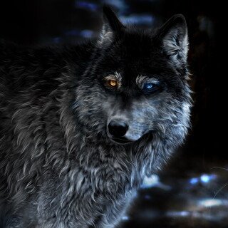 Wolf_1_1063