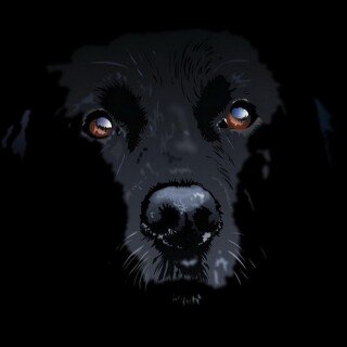 dogs3_1636